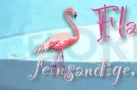 Flamingo Inn, Florida